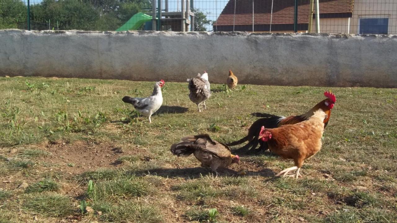 La Maison Du Colombier Le Fied Dış mekan fotoğraf